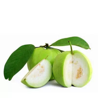 Guava