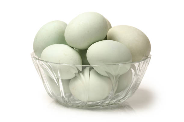 Duck Eggs 6 pcs